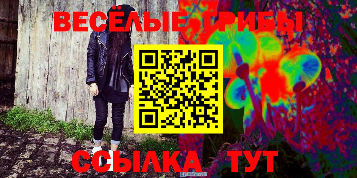 Сарапул  Псилоцибиновые грибы мухоморы  купить наркоту  Вход с VPN  Галлюциногенные грибы Psilocybe 